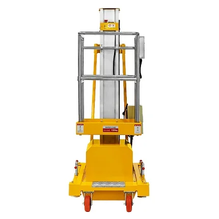 Подъемник одномачтовый SMARTLIFT GTWY 8-100 (T) (г/п 125 кг; 220В; 8 м) 