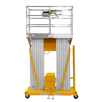 Подъемник одномачтовый SMARTLIFT GTWY 8-200S (T) (г/п 200 кг; AC&DC; 8 м) 