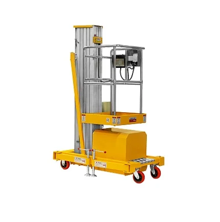 Подъемник одномачтовый SMARTLIFT GTWY 8-100 (T) (г/п 125 кг; 220В; 8 м) 