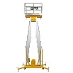 Подъемник одномачтовый SMARTLIFT GTWY 8-200S (T) (г/п 200 кг; AC&DC; 8 м) 