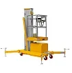 Подъемник одномачтовый SMARTLIFT GTWY 8-100 (T) (г/п 125 кг; 220В; 8 м) 
